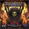 Starcraft: Brood War Expansion